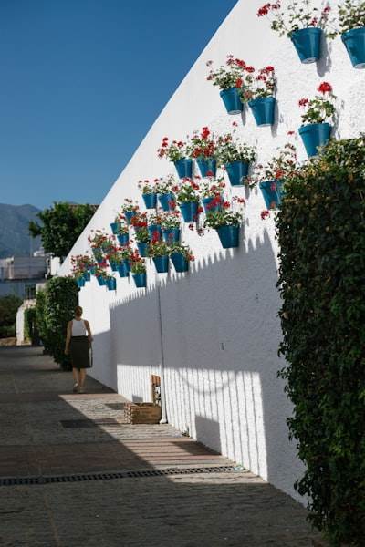Desarrollo de software personalizado en Marbella