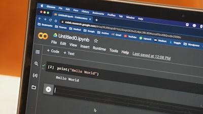 Cómo la estructura de los datasets define los modelos de video