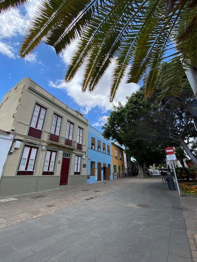 Automatización para panaderías en Santa Cruz de Tenerife