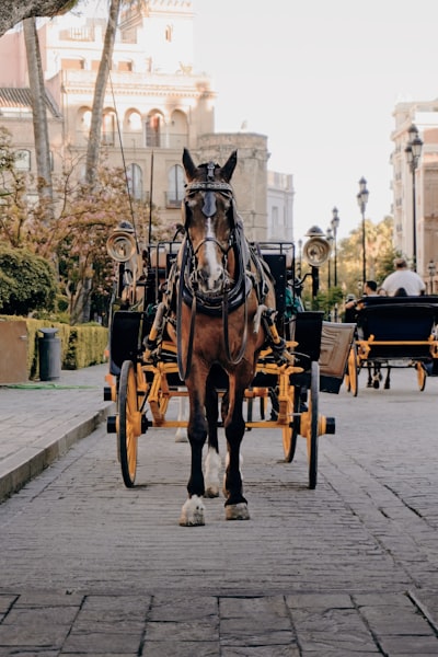 Recuperación de carritos abandonados en Sevilla