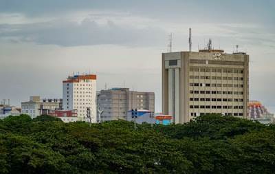 Las 50 mejores empresas de inteligencia artificial en Cambados