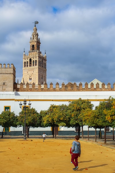 Automatización de asignación de leads en Sevilla