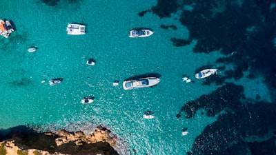 Principales empresas de SEO Bots en Ibiza
