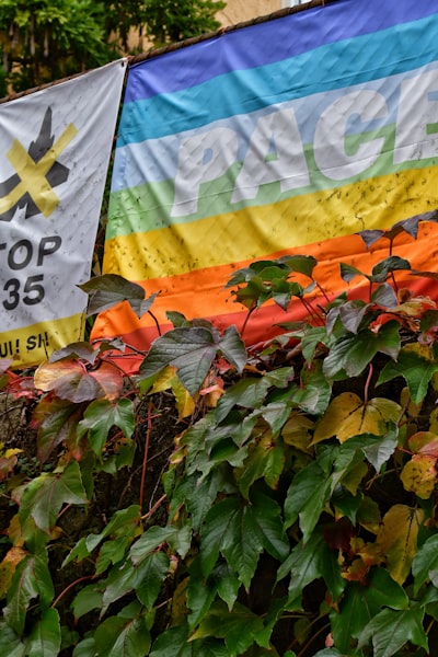 Mejores empresas de desarrollo de plataformas de banderas de funciones en Palma
