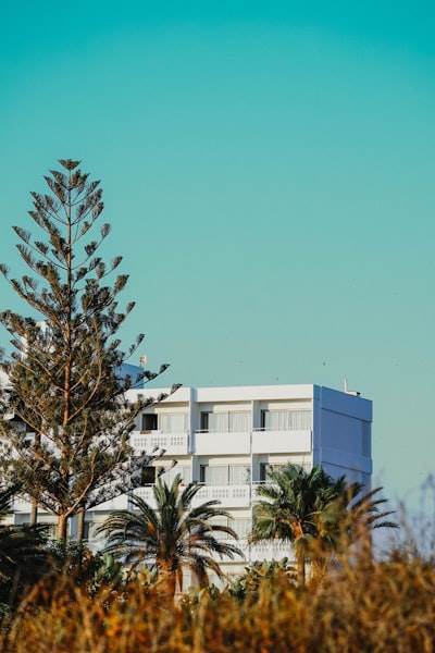 Servicios de inteligencia empresarial en Ibiza