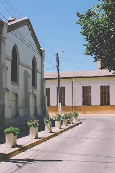 Consultoría profesional n8n en San Bartolomé de Tirajana