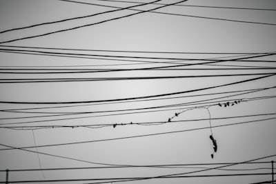 Lecciones para integrar texto, imagen y audio en un gateway único