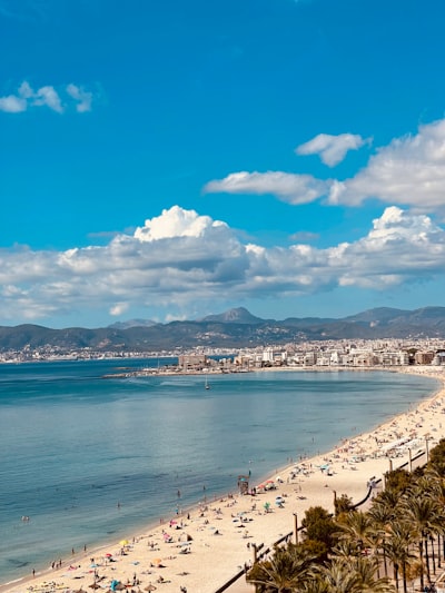 Servicios profesionales de software e IA en Palma