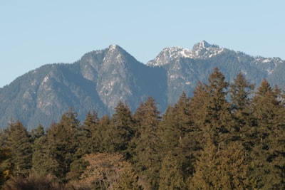5 cosas inusuales inspiradas en Twin Peaks