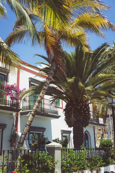 Automatiza sin programar en Las Palmas de Gran Canaria