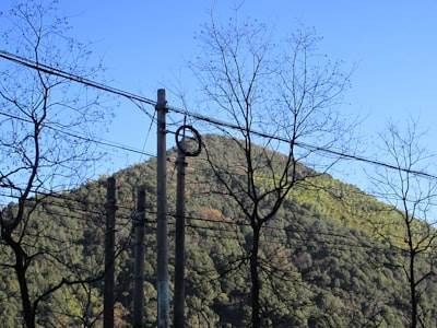 Power BI en Molina de Segura