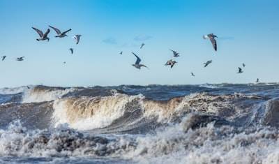 Planificación de la resiliencia climática costera con enjambre de borde a nube