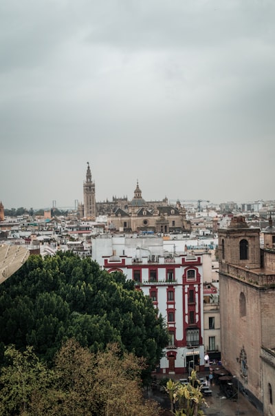 Automatización de precios en Sevilla