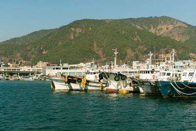 Servicios profesionales de n8n en Roquetas de Mar