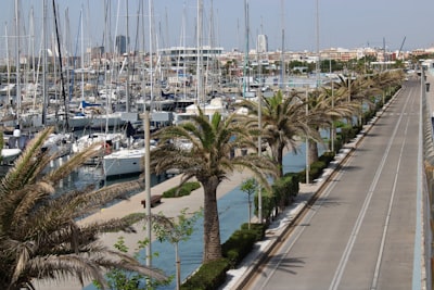 Principales Expertos en agentes de IA para logística en Valencia