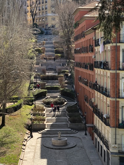 Reemplazo de carpetas compartidas con conocimientos en Madrid