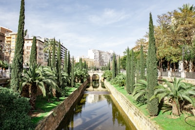 Desarrollo de integración personalizada en Palma