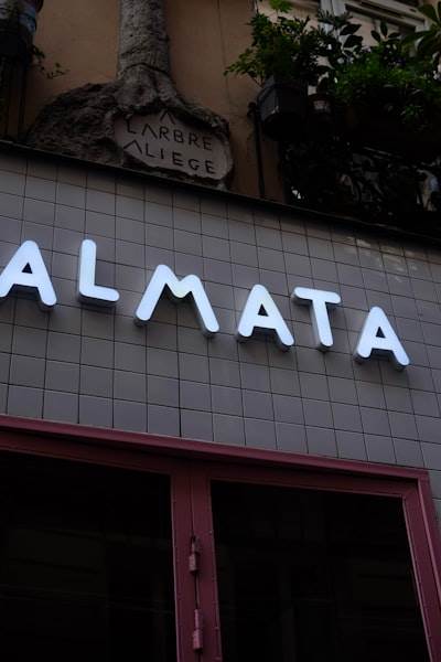 OllamaFX: Cliente Nativo y Eficiente en Hardware para LLMs Locales
