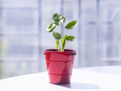 Las 20 mejores empresas para automatizar el cultivo de leads en Las Palmas de Gran Canaria