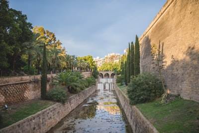 Los 10 mejores expertos en programación en Palma