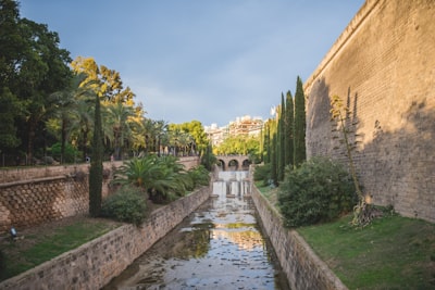 Top 20 Expertos en programación en Palma