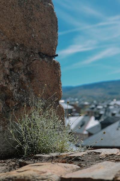 Top 20 Empresas de SaaS en Ponferrada