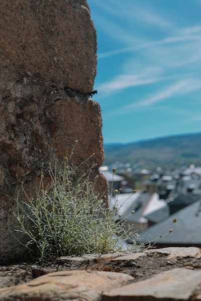 Encuentra bots de Instagram en Ponferrada