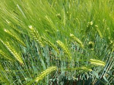 FT-RAG: Recuperación aumentada de grano fino para razonamiento complejo en tablas