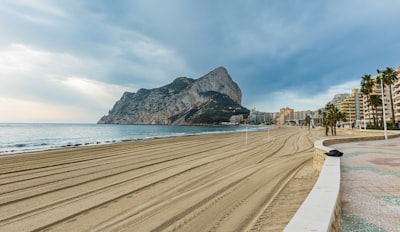 Top 20 Empresas con avatares digitales humanos en Alicante