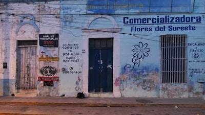 La mejor guía para contratar servicios de telefonía AI en Villaquilambre
