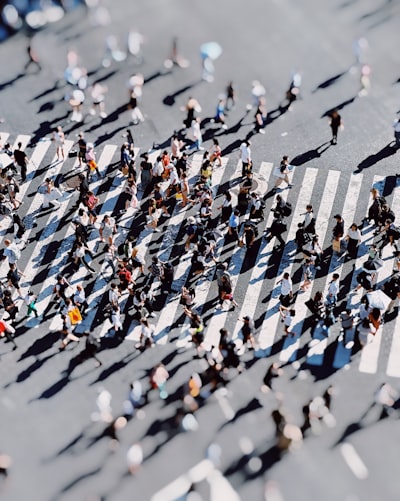 Gestión de multitudes con simulación de redes peatonales