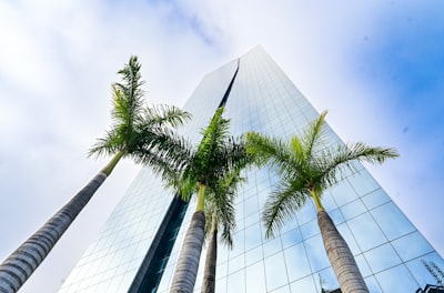 Top 30 Empresas en Madrid para Desarrollo de Software a Medida