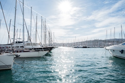 Especialista en automatización de licencias SaaS en Palma