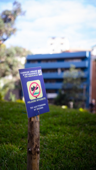 ¿Cómo afecta el SSO a la integración de procesos?