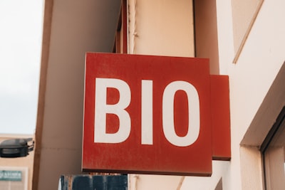 Modelos de base en bioacústica: una comparativa actualizada