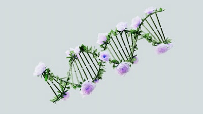 Mejora de la predicción de estructuras secundarias de proteínas con programación genética multiobjetivo