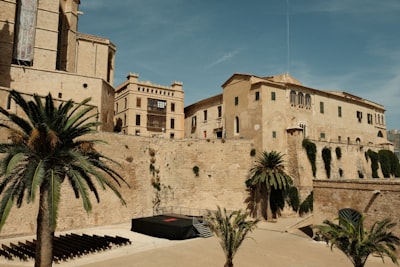 Guía completa de proveedores de software para construcción en Palma