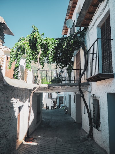 Socio oficial en procesos aduaneros en Granada con más de 15 años de experiencia