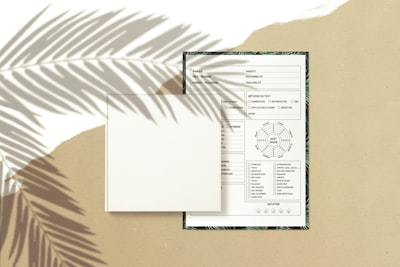 Reemplazo de informes manuales por paneles en Palma