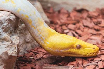 Aprende Python desde cero
