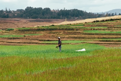 Join Netswap Yield Farming on Metis Network