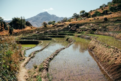 Tokenización de minerales críticos en África: financiación seria