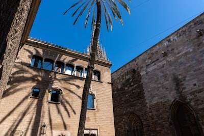 La mejor consultoría n8n en Alcázar de San Juan