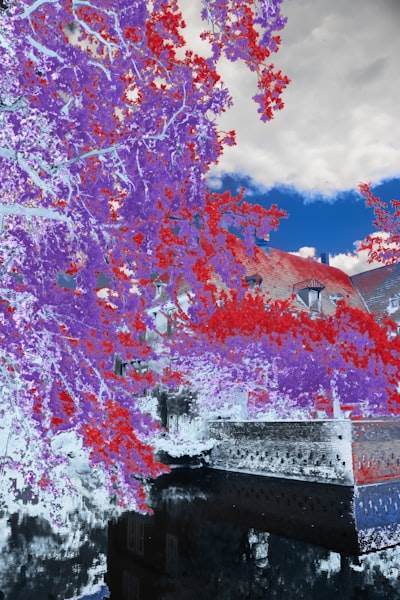 Uso de imágenes RGB-D y parámetros de la cámara en mapeo 3D