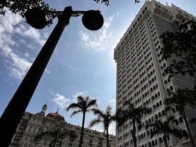 Empleados Todos Deberían Tener Recompensas en Acciones