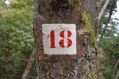 Los 15 mejores expertos en consultoría n8n en Alberite