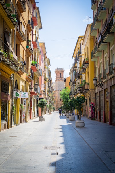 Socio oficial de portal interno personalizado en Valencia con más de 15 años de experiencia