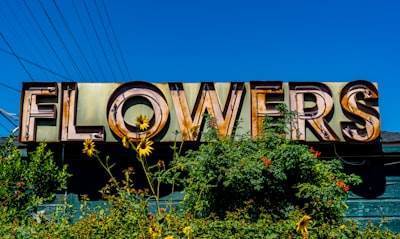 Top 100 Empresas para Power BI en Tomelloso