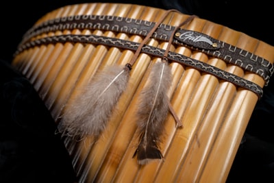 Native Instruments se declara insolvente, futuro incierto
