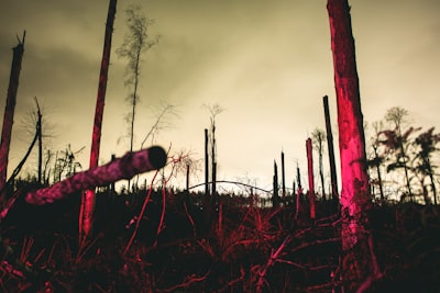 Cómo funciona el ataque de envenenamiento del paisaje de pérdida